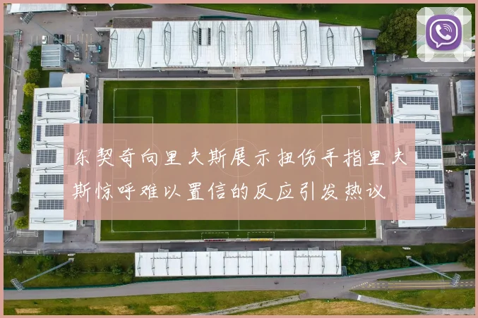 东契奇向里夫斯展示扭伤手指里夫斯惊呼难以置信的反应引发热议