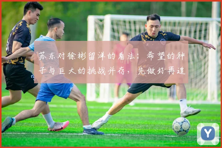 苏东对徐彬留洋的看法：希望的种子与巨大的挑战并存，先做好再追求完美